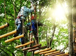 Explore Treezone Aerial Adventure, Aviemore, Scotland
