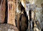 Explore Princess Margaret Rose Cave, Victoria, Australia