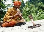 See a Snake Charmer