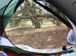 Camp at North Rim Campground, Black Canyon of the Gunnison National Park