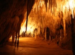 Explore Hastings Caves State Reserve (Newdegate Cave), Hobart, Australia