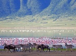 Explore Lake Elmenteita, Great Rift Valley, Kenya (UNESCO Site)