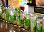 Drink Mojito's at Bodeguita Del Medio, Havana, Cuba