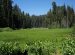 Hike Crescent Meadow and Tharp’s Log, Sequoia National Park