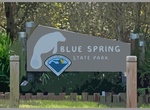 Explore Blue Spring State Park, Orange City, Florida