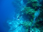 Drift Dive Santa Rosa Wall, Cozumel, Mexico