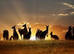Explore The Outback, Australia