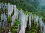 Explore Gunung Mulu National Park, Borneo, Malaysia (UNESCO site)