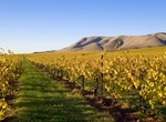 Wine Tasting in Santa Ynez Valley, Santa Barbara County, California
