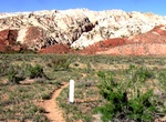 Hike Lower Muley Twist Canyon, Capitol Reef National Park
