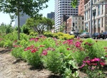 Visit Dewey Square Park, Boston, Massachusetts