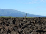 Explore Cerro Azul, Galápagos Islands