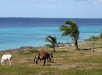 Visit Bay of Pigs, Cuba