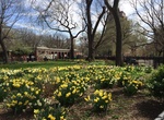 Visit Tompkins Square Park (East Village), Manhattan, New York City