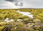 See Kirkjubaeklaustur Moss Fields, Iceland