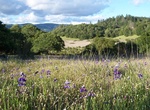 Explore Annadel State Park, Sonoma, California