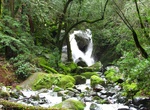 See Sonoma Creek Falls, California