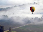 Do a Napa Hot-Air Balloon Ride, Napa Valley, California