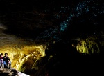 Explore Waitomo Glowworm Caves, New Zealand