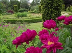 Explore Branklyn Garden, Perth, Scotland