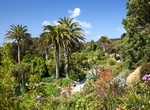 Visit Tresco Abbey Gardens, Isles of Scilly, UK
