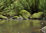 Hike Judd Memorial Trail (Jackass Ginger Pool), Oahu, Hawaii