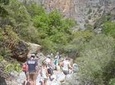 Hiking Walking Gorge in Crete with Lunch nearby Chersonissos