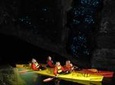 Evening Glow Worm Kayak Tour in Tauranga