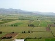 Santiago Full day tour to Casablanca Valley, include entraces for 2 vineyard.