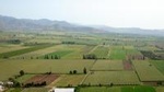 Santiago Full day tour to Casablanca Valley, include entraces for 2 vineyard.