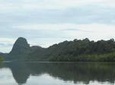 Mangrove River Cruise and Swimming Tour from Langkawi