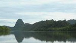 Mangrove River Cruise and Swimming Tour from Langkawi
