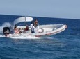 Private Speedboat Tour From Hurghada