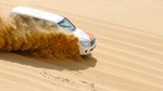 Half-Day Desert Safari from Abu Dhabi 