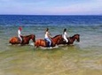 Horse Riding Tour on the Beach Lisbon region