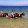 Horse Riding Tour on the Beach Lisbon region