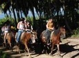 Horseback Riding Adventure Punta Cana