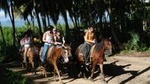 Horseback Riding Adventure Punta Cana