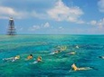 Key West Florida Reef Half-Day Snorkeling Excursion