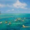Key West Florida Reef Half-Day Snorkeling Excursion