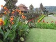 Best of Ubud Attractions: Private All-Inclusive Tour