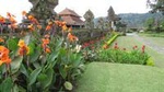 Best of Ubud Attractions: Private All-Inclusive Tour