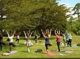 Yoga And Meditation Experience at Lodhi Gardens in Delhi