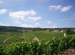 Wine Tasting in Hautvillers, France (UNESCO site)