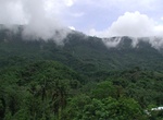 Explore Blue and John Crow Mountains National Park, Jamaica (UNESCO site)