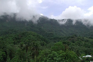 Blue and John Crow Mountains National Park