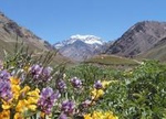 4-Days Trip to Mendoza and The Andes
