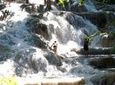 Private Tour - Dunn's River Falls and Ocho Rios Experience from Ocho Rios