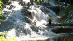 Private Tour - Dunn's River Falls and Ocho Rios Experience from Ocho Rios