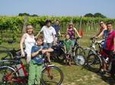 Self-Guided Electric Bike Tour to vineyards and castles in Kent